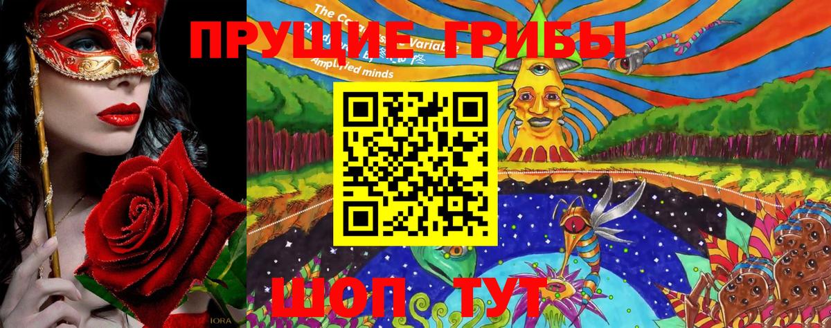 Псилоцибиновые грибы прущие грибы Ульяновск